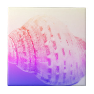 Details zur Struktur der Muschel im Seeozean Fliese