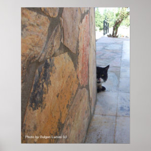DETECTIV-KATZE HINTER DER STEINMauer / Vatertag Poster
