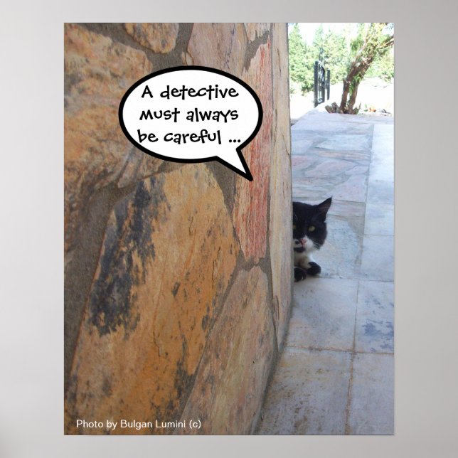 DETECTIV-KATZE HINTER DER STEINMauer / Vatertag Poster (Vorne)