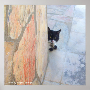 DETEKTIVE KATZE HINTER DER STEINWAND / Vatertag Poster