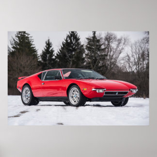 Detomaso Pantera Poster
