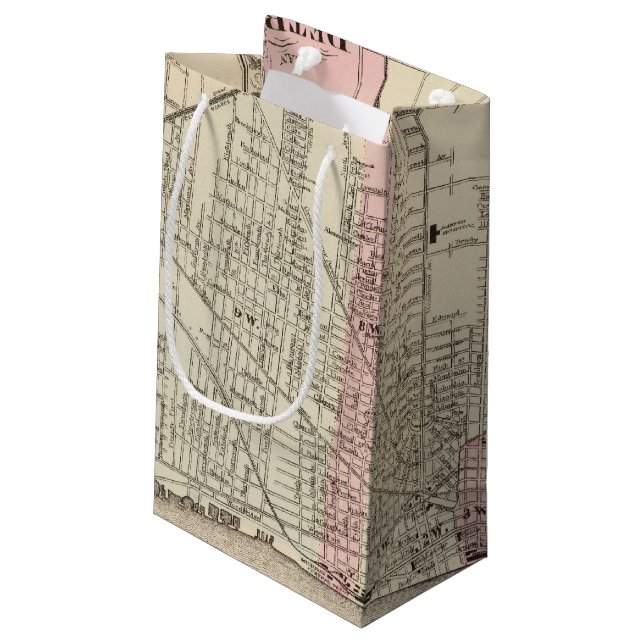 Detroit Kleine Geschenktüte (Rückseite Schrägansicht)