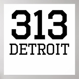 Detroit-Postleitzahl 313 Poster
