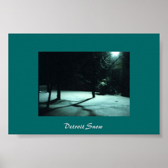 Detroit Snow Poster (Vorne)