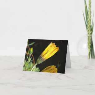 Deu auf einem Gelben Schwanz - Note Card Karte