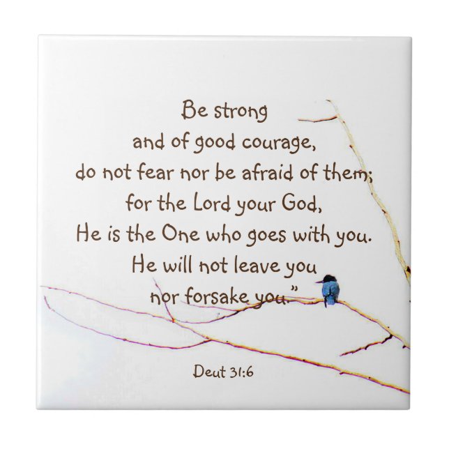 Deut 31:6 Du bist kein alleinbibeler Kingfisher Bi Fliese (Vorderseite)