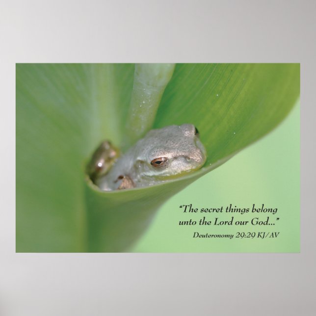 Deuteronomie 29:29 Schrift drucken Poster (Vorne)