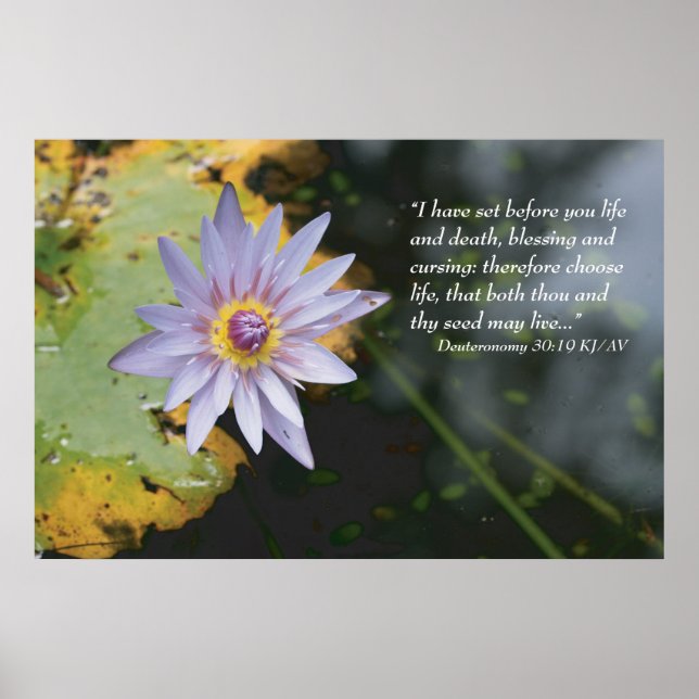 Deuteronomie 30:19 Schrift drucken Poster (Vorne)
