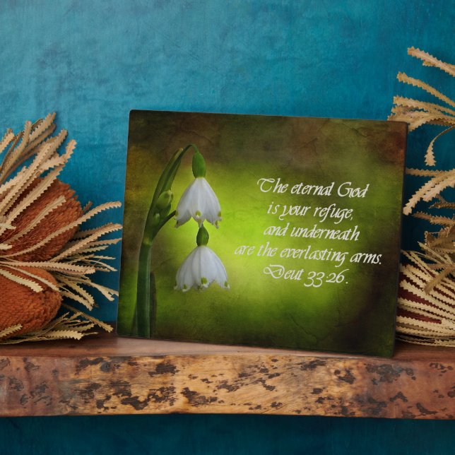 Deuteronomie 33:26 Ewige Zuflucht Inspiration Fotoplatte (Seite)