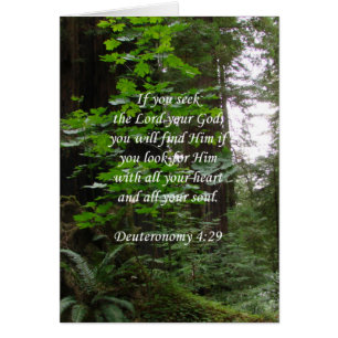Deuteronomy 4:29 ~ Suchvorgang der Lord
