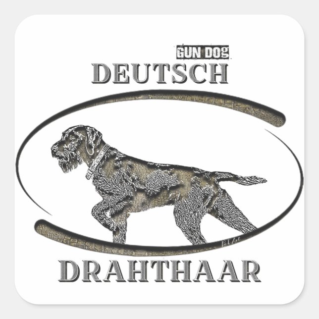 Deutsch Drahthaar, bester Kanonenhund Quadratischer Aufkleber (Vorderseite)
