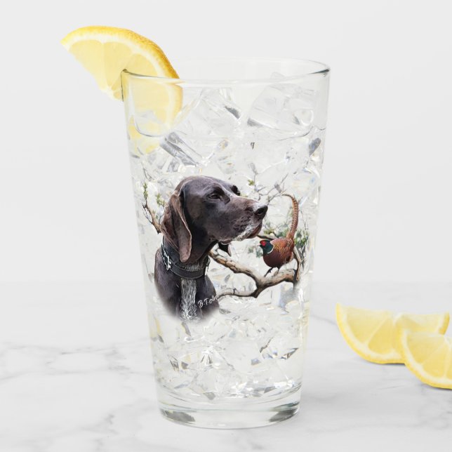 Deutsch Drahthaar, DD Glas (Vorderseite Ice)