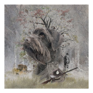 Deutsch Drahthaar Foto Print