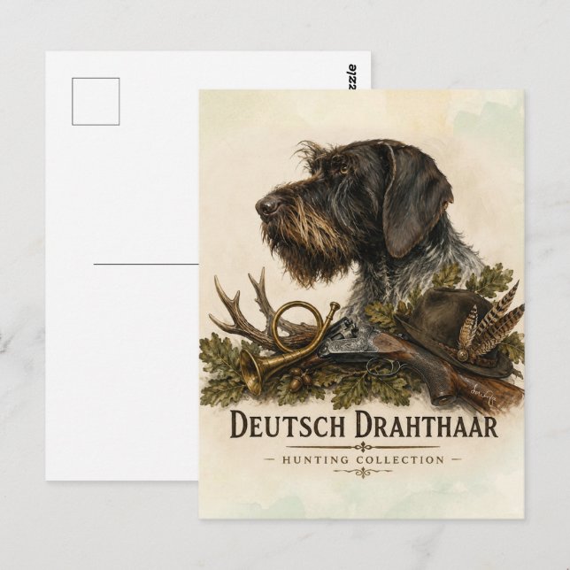 Deutsch Drahthaar - Jagdkollektion Postkarte (Vorne/Hinten)