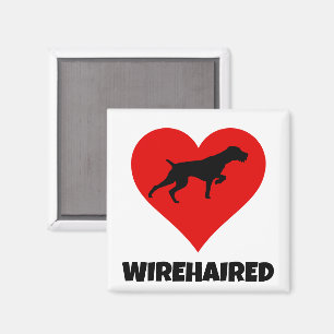Deutsch Drahthaar Liebe Magnet
