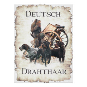 Deutsch Drahthaar Podest Zeichen Badetuch Poster