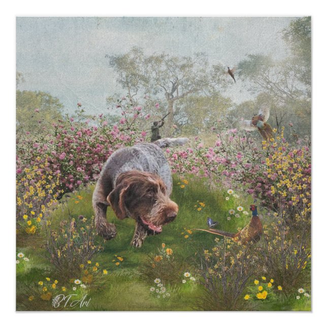 Deutsch Drahthaar Poster (Vorderseite)