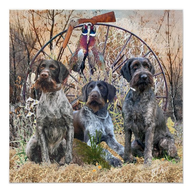 Deutsch Drahthaar Poster (Vorderseite)