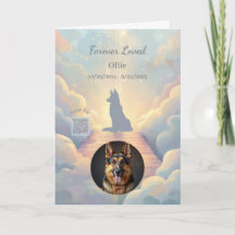 Deutsch Drahthaar Rainbow Bridge Beileidskarte