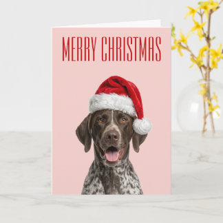 Deutsch Drahthaar Weihnachtsfreude Karte