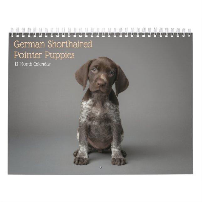 Deutsch Drahthaar Welpen 2027 Kalender (Titelbild)