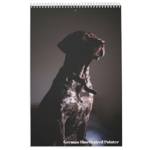 Deutsch Drahthaariger Vorstehhund 2024 Kalender GS