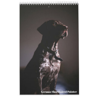 Deutsch Drahthaariger Vorstehhund 2024 Kalender GS