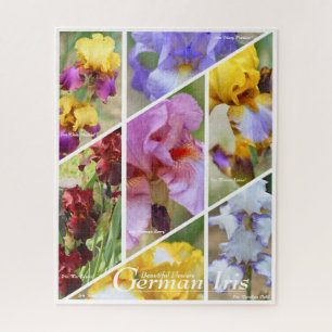 Deutsch Iris_01 [Puzzle Jigsaw: 520P] ソズ ル Puzzle