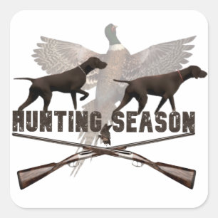 Deutsch Kurzhaar Pointer,kurzhaar Quadratischer Aufkleber