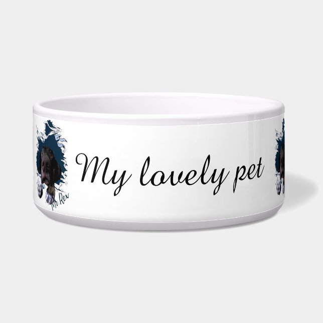 Deutsch Kurzhaar Pointer, lustiges Gesicht Bandana Napf (Links)