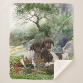 Deutsch Kurzhaarige niedliche Welpen Sherpadecke