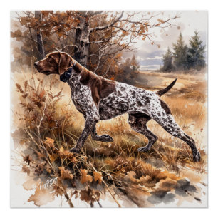 Deutsch Kurzhaariger Vorstehhund Poster