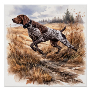 Deutsch Kurzhaariger Vorstehhund Poster