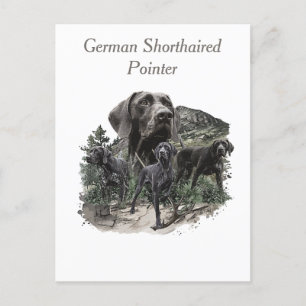 Deutsch Kurzporafreunde Postkarte