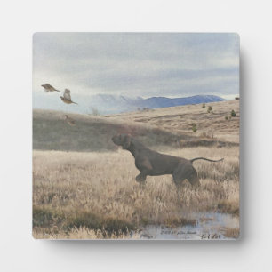 Deutsch Kurzpornografie Fotoplatte