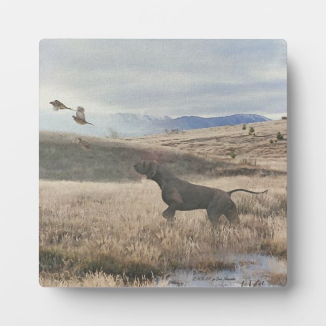 Deutsch Kurzpornografie Fotoplatte (Vorderseite)