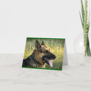 Deutsch Langhaar Welpen Hund Blank Grün Notizkarte Karte