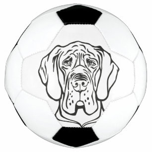 Deutsche Dogge Fußball