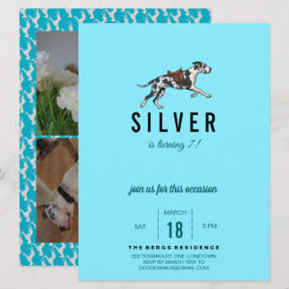 Deutsche Dogge Geburtstagseinladung mit 3 Fotos Einladung