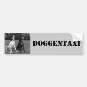Deutsche Dogge, Great Dane,Harlekin,Taxi,Aufkleber Autoaufkleber