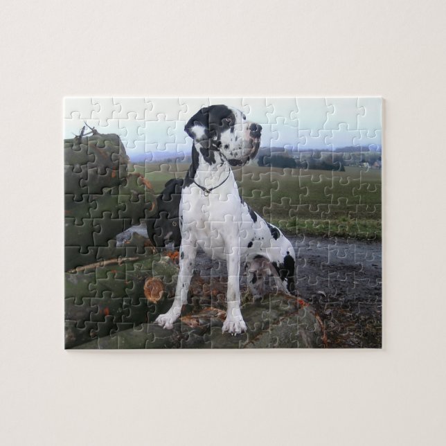 Deutsche Dogge, Great Dane,Hunde,Dogue Allemand Puzzle (Horizontal)
