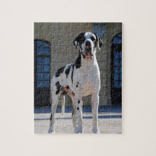 Deutsche Dogge, Great Dane,Hunde,Dogue Allemand Puzzle