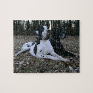 Deutsche Dogge, Great Dane,Hunde,Dogue Allemand Puzzle