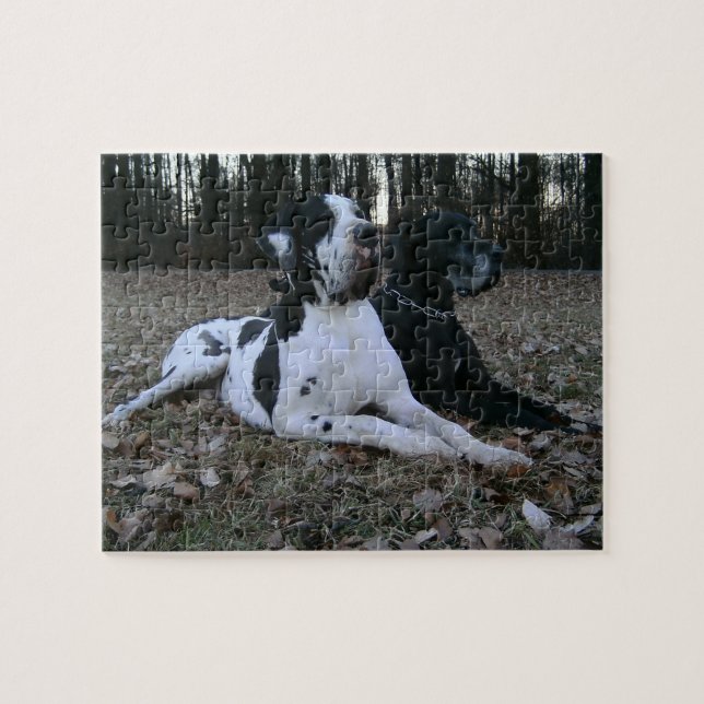 Deutsche Dogge, Great Dane,Hunde,Dogue Allemand Puzzle (Horizontal)
