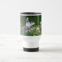 Deutsche Dogge, Great Dane,Hunde,Dogue Allemand