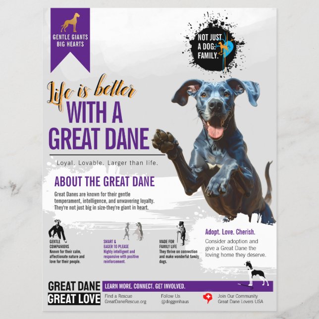 Deutsche Dogge Informationsflyer  Flyer (Vorne)