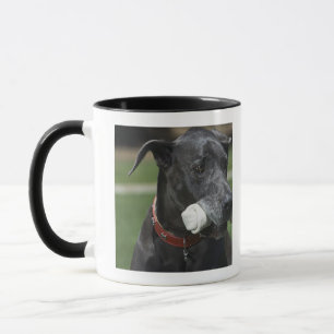 Deutsche Dogge mit dem Knochen Tasse