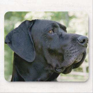 Deutsche Dogge Mousepad