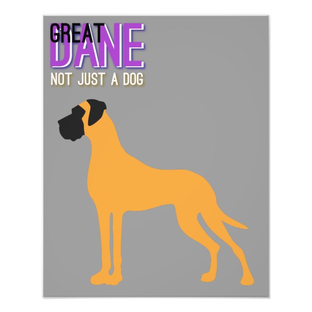 Deutsche Dogge Poster (Vorne)