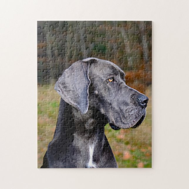 Deutsche Dogge. Puzzle (Vertikal)